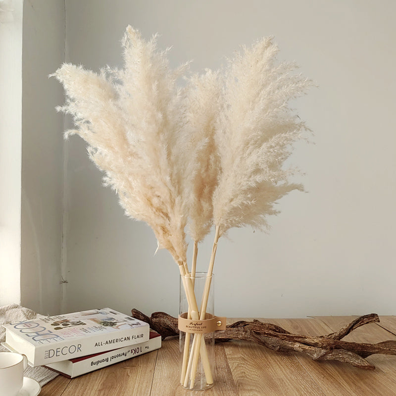 Decorative Dried Grass Plumes 15.7–29.5 in Natural Home Wedding Vase Arrangement | Thomler