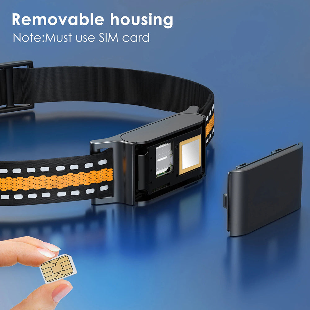 Collar-Mounted GPS Location Monitor for Cats with Geofence Alerts, Historical Route Logging & Multi-Technology Positioning for Indoor & | Thomler