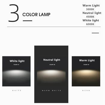 LED Ceiling Light Flush Mount Round Modern Circle Fixture Black White Gold 3000K 5000K for Bedroom Living Room Kitchen | Thomler