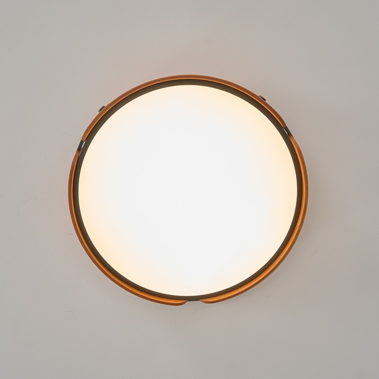 Ceiling Light Wood Integrated LED 16.5 in Remote Dimmable Bedroom Bathroom Wall Mount Fixture | Thomler
