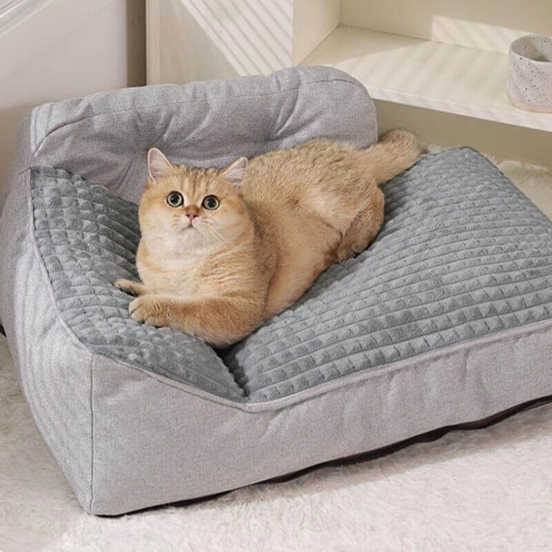 Orthopedic Pet Bed with Bolster Pillow for Dogs & Cats – Washable, Non-Slip Base, Year-Round Comfort | Thomler