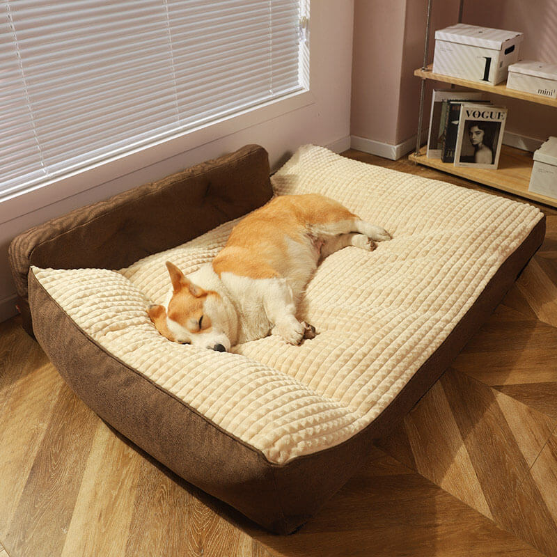 Orthopedic Pet Bed with Bolster Pillow for Dogs & Cats – Washable, Non-Slip Base, Year-Round Comfort | Thomler