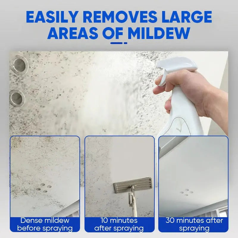 Mold Remover Spray for Walls, Tile Grout & Wood – Fast-Acting Odor Eliminator for Bathrooms, Basements & Kitchens | Thomler
