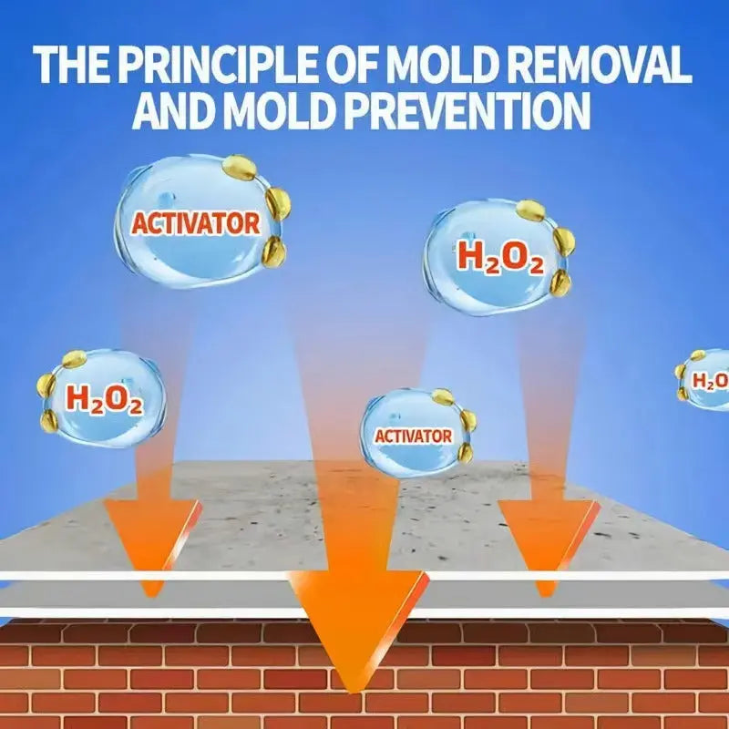 Mold Remover Spray for Walls, Tile Grout & Wood – Fast-Acting Odor Eliminator for Bathrooms, Basements & Kitchens | Thomler