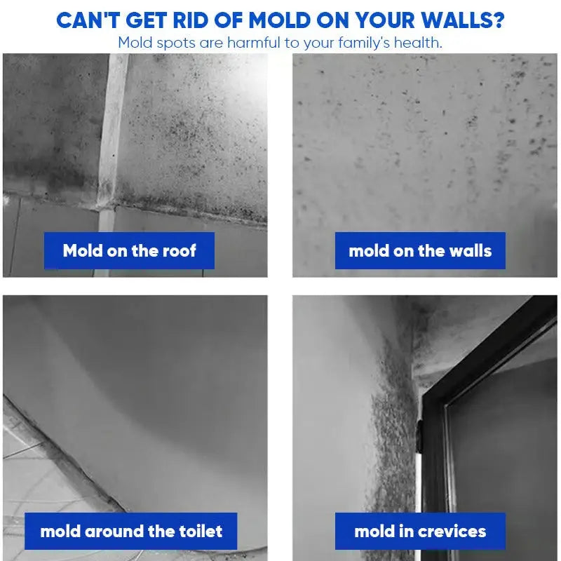 Mold Remover Spray for Walls, Tile Grout & Wood – Fast-Acting Odor Eliminator for Bathrooms, Basements & Kitchens | Thomler