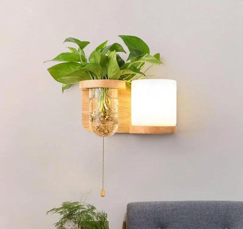 Wall-Mounted Plant Display Fixture with Integrated LED Lighting & Vase Holder for Living Room, Bedroom, Kitchen | Thomler