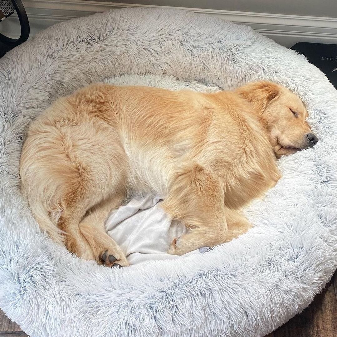 Round Raised-Edge Pet Bed with Plush Faux Fur Fill for Dogs & Cats | Thomler