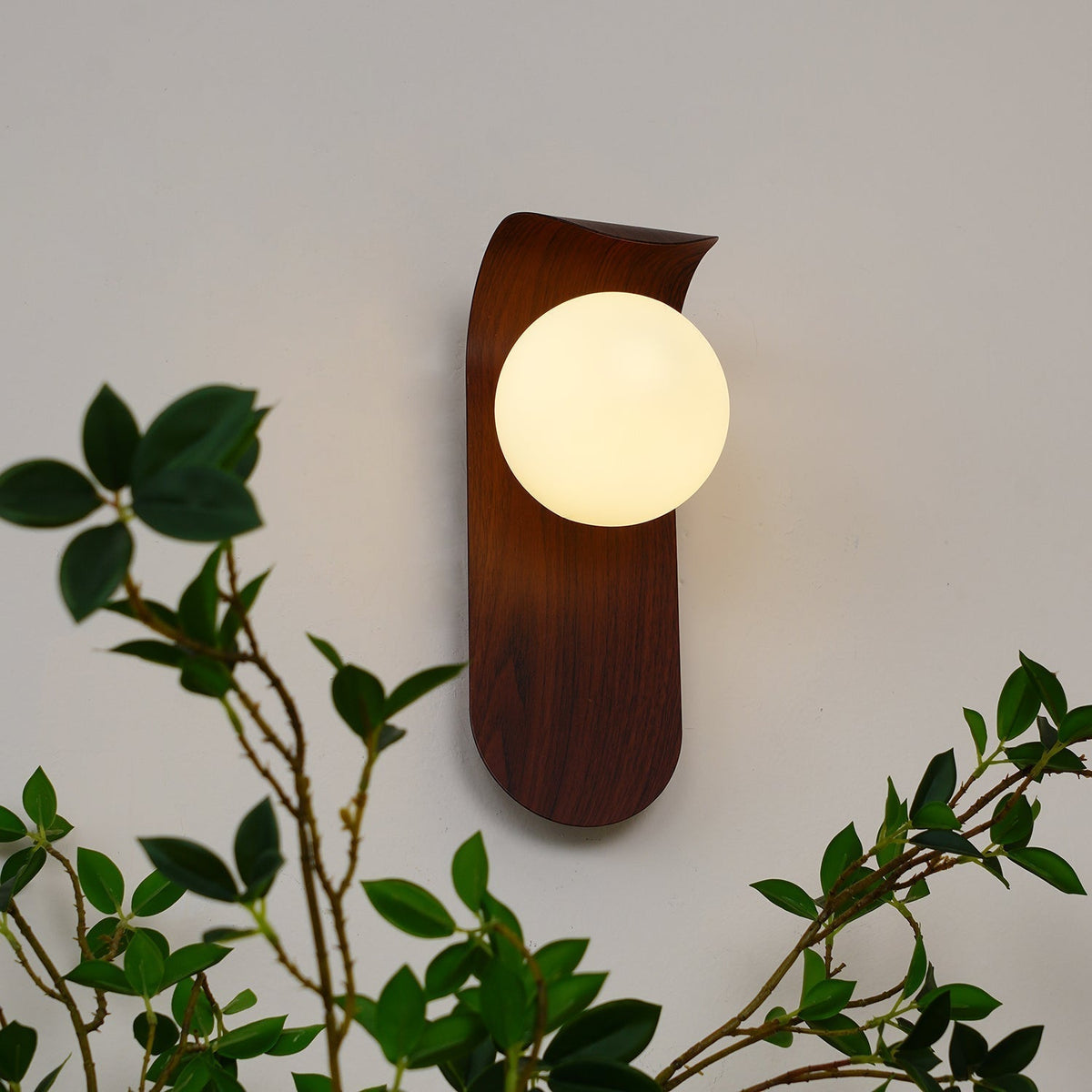 Contemporary Wood-Finish Wall Sconce with Glass or Acrylic Globe Shade for Living Room & Bedroom | Thomler