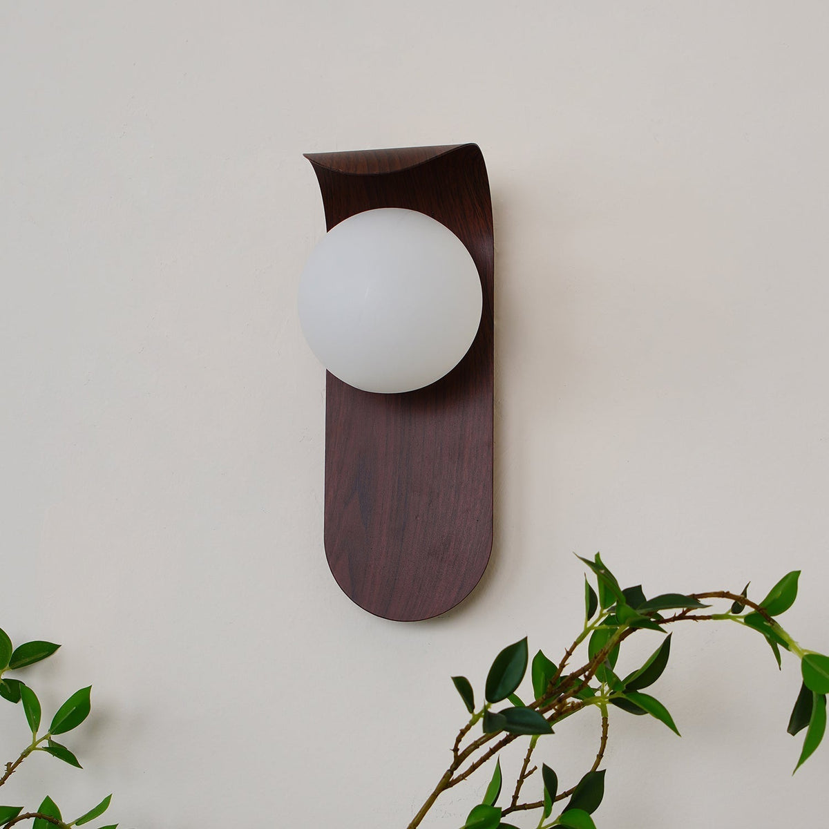 Contemporary Wood-Finish Wall Sconce with Glass or Acrylic Globe Shade for Living Room & Bedroom | Thomler