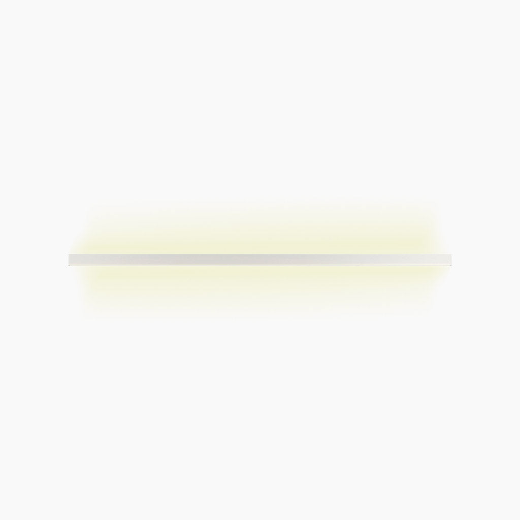 Ceiling Light Iron Linear LED 23.6 in Flush Mount Black White Modern Living Room Hallway Minimalist Strip Lighting Fixture | Thomler