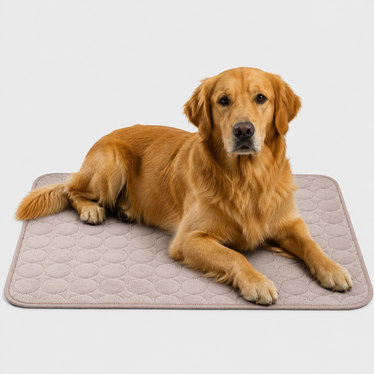 Machine-Washable Cool-Touch Pet Bed Pad for Dogs & Cats – Travel-Ready Foldable Chill Blanket for Summer Heat Relief, 6 Size Options for | Thomler