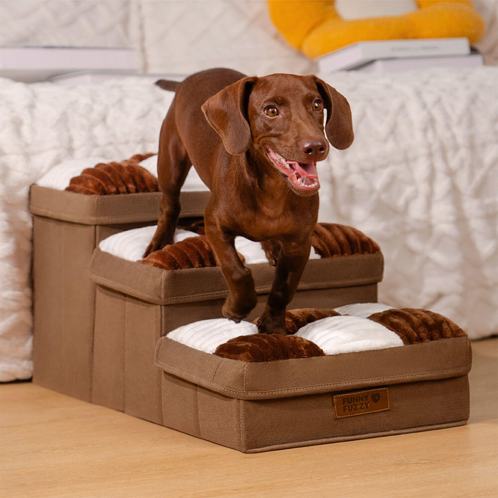 Pet Steps with Hidden Storage Compartments – Soft Padded Foldable Ramp for Small Dogs & Cats, Non-Slip Base | Thomler