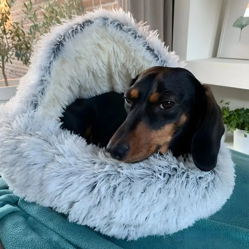 Pet Bed Plush Shelter Style Cosy Sleeping Cave For Small Dogs Cats Calming Enclosed Nest Indoor Resting Space | Thomler