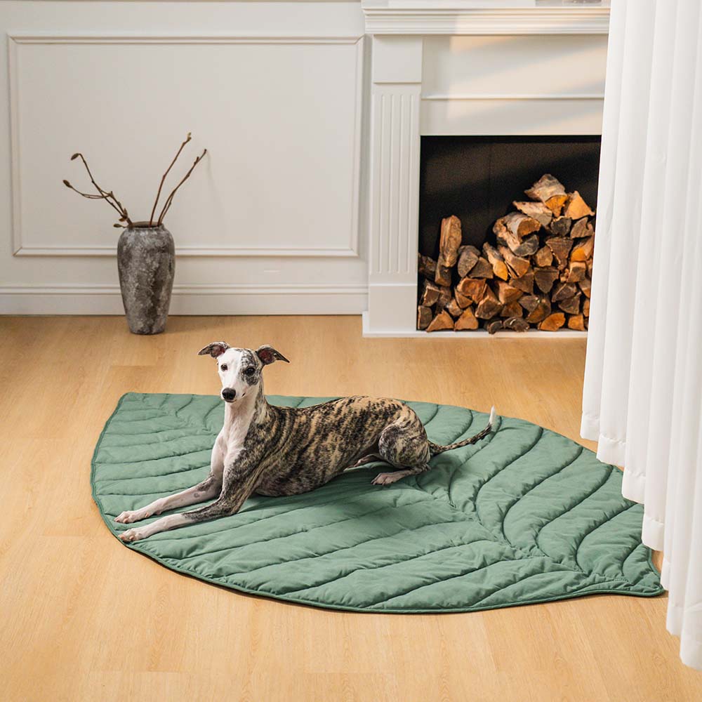 Botanical Leaf-Shaped Pet Throw Blanket - Soft Cotton-Polyester Cover for Dogs & Cats - Machine Washable Couch Protector & Floor Mat for | Thomler