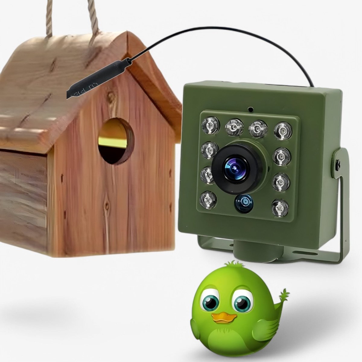 Outdoor Wildlife Monitoring Camera – Full HD 1080p Infrared Night Recording, Automatic Motion Trigger, App-Connected Remote Viewing for | Thomler