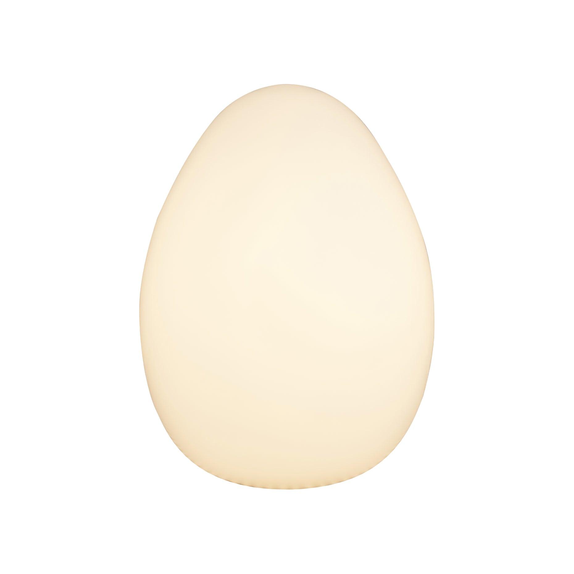 Table Lamp PE Shade 11 in LED Indoor Outdoor Round Egg Shape Ambient Lighting Warm Cool Neutral | Thomler