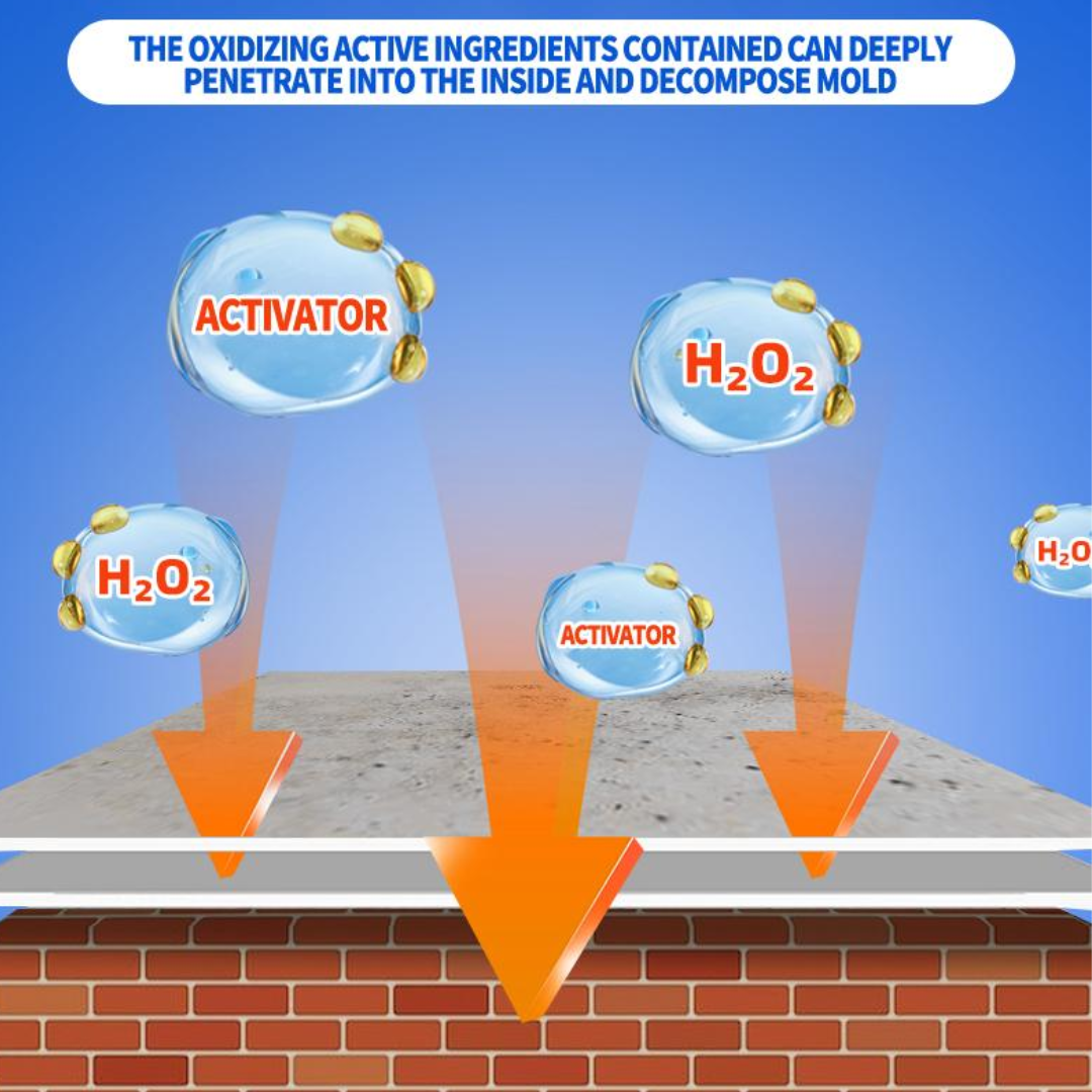 Deep-Action Wall & Surface Cleaner Spray for Stubborn Growth | Thomler