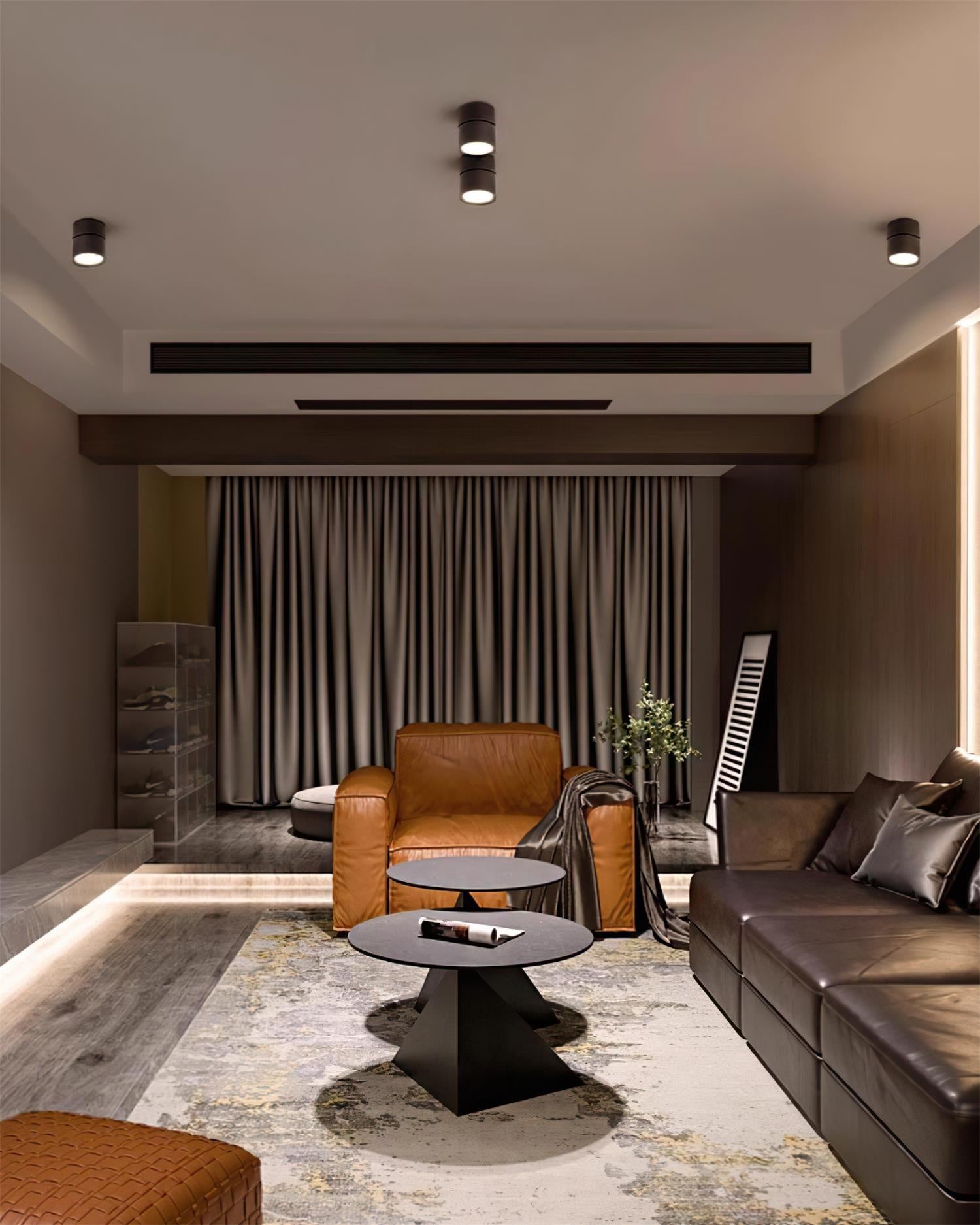 Ceiling Lamp Aluminum 3.9 in Adjustable Black White Home Gallery Spotlight Warm White 7W LED | Thomler