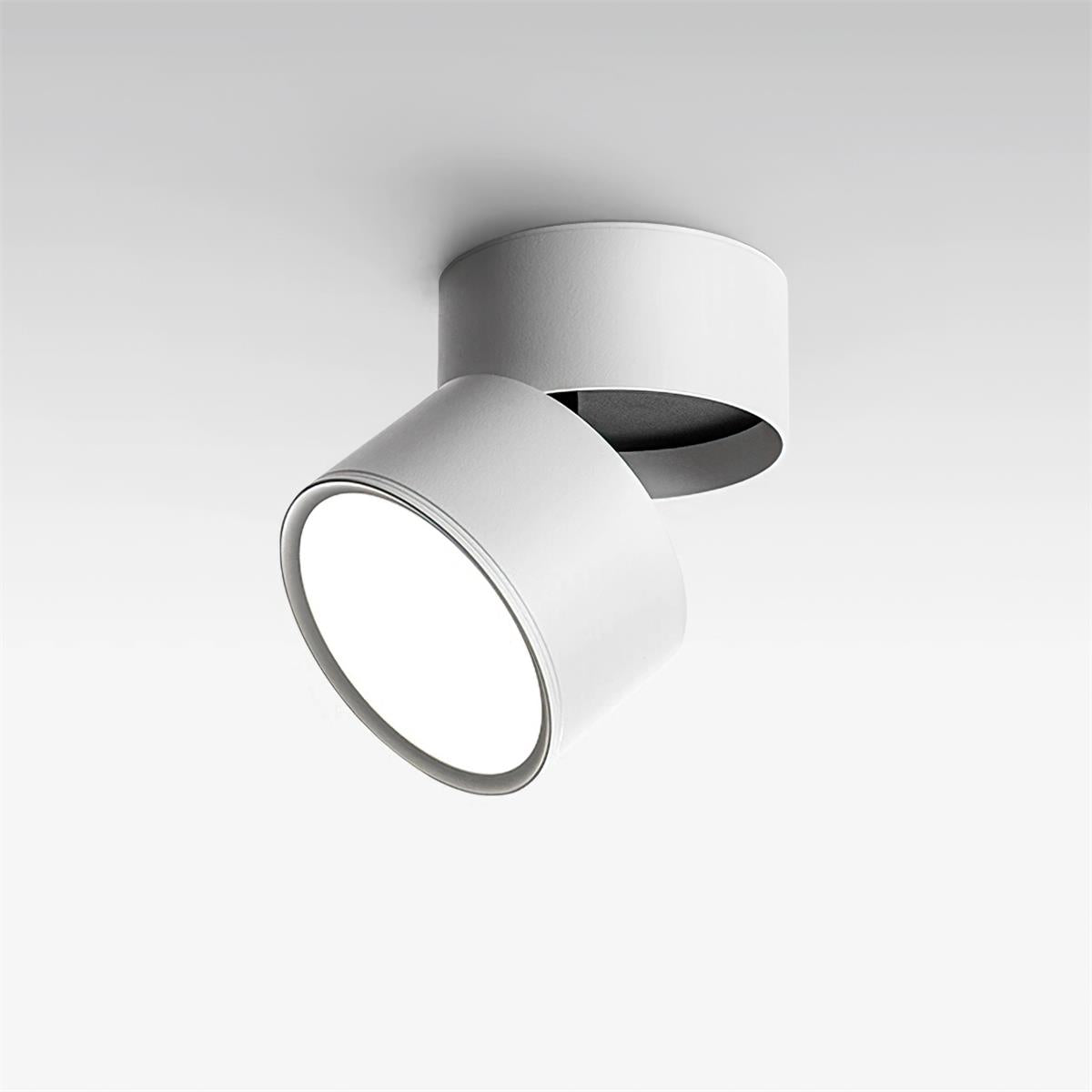 Ceiling Lamp Aluminum 3.9 in Adjustable Black White Home Gallery Spotlight Warm White 7W LED | Thomler