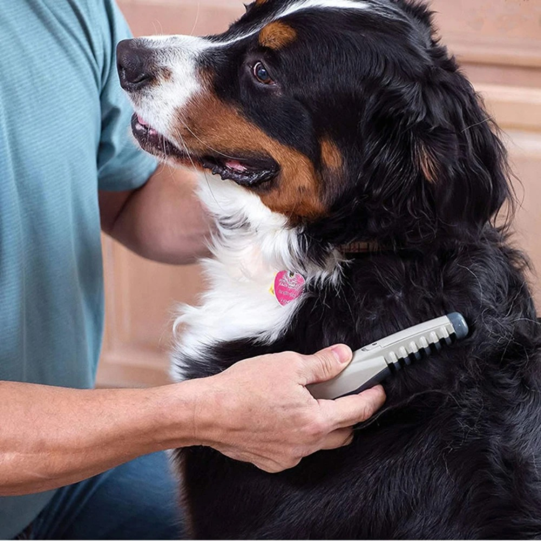 Gentle Pet Grooming Comb with Rounded Blades for Tangle-Free Fur on Dogs & Cats | Ergonomic Dematting Tool for Long & Short Hair | Safe | Thomler