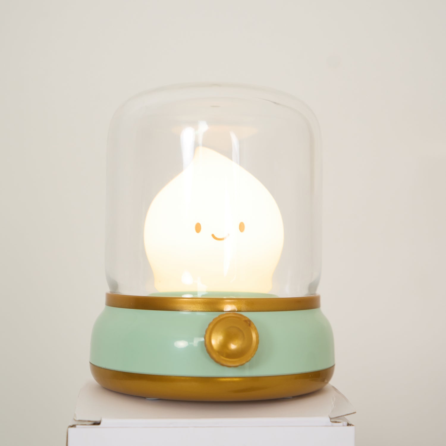 Night Light ABS Flame LED 3.9 in Adjustable Green Beige White Clear Bedroom Desk Accent Lamp | Thomler