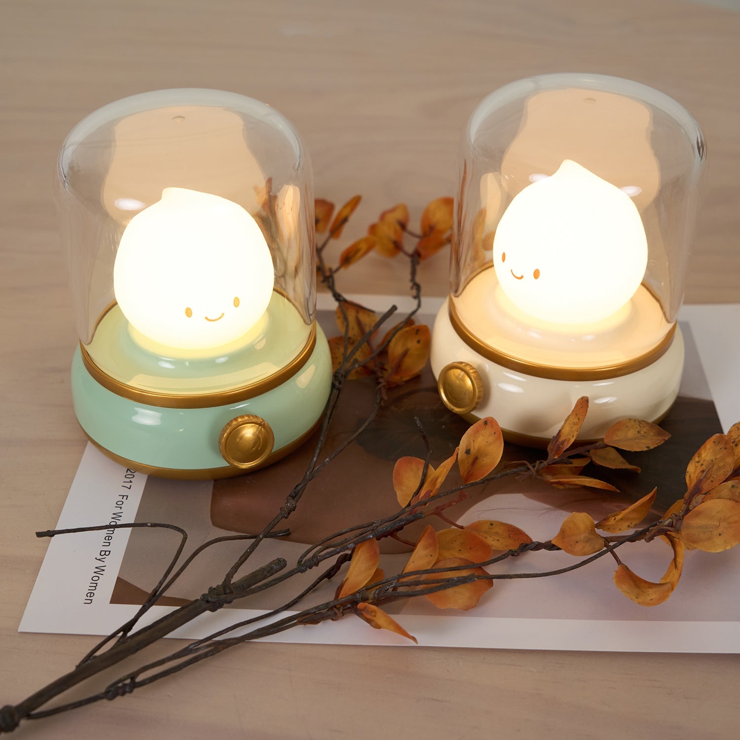 Night Light ABS Flame LED 3.9 in Adjustable Green Beige White Clear Bedroom Desk Accent Lamp | Thomler