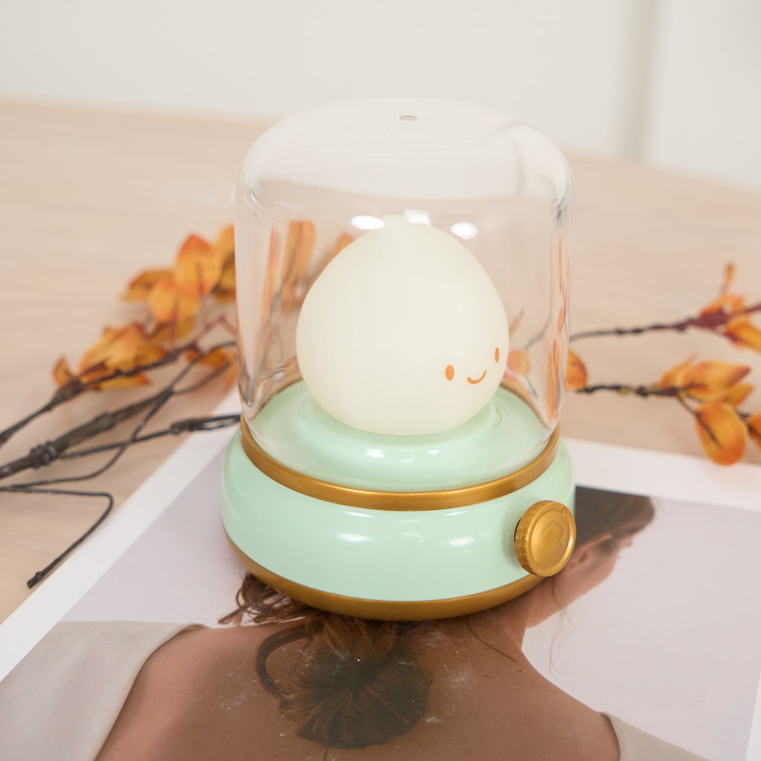 Night Light ABS Flame LED 3.9 in Adjustable Green Beige White Clear Bedroom Desk Accent Lamp | Thomler