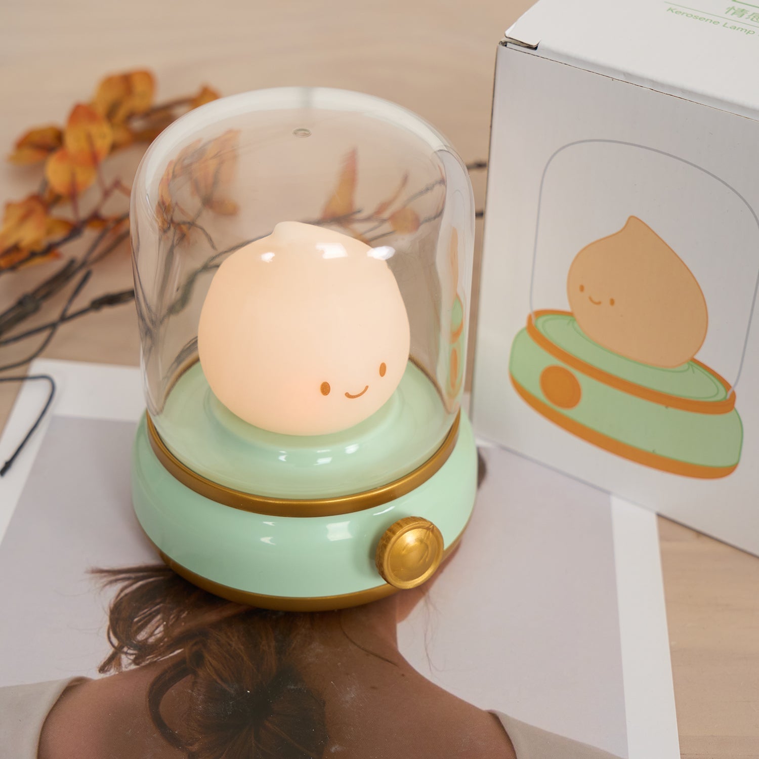 Night Light ABS Flame LED 3.9 in Adjustable Green Beige White Clear Bedroom Desk Accent Lamp | Thomler