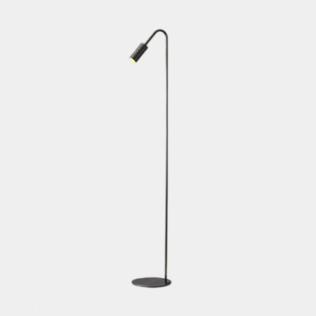 Floor Lamp Brass 51 in Adjustable LED Modern Living Room Gallery Lighting | Thomler