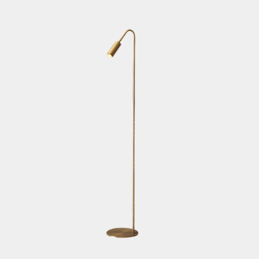 Floor Lamp Brass 51 in Adjustable LED Modern Living Room Gallery Lighting | Thomler