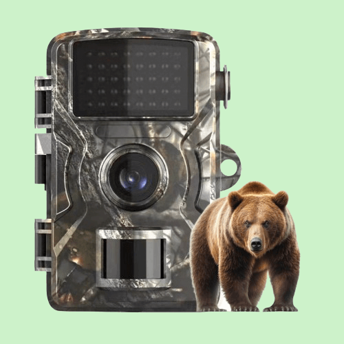 Motion-Activated Trail Camera with Night Vision – 1080p HD Waterproof Wildlife Cam for Outdoor Surveillance | Thomler