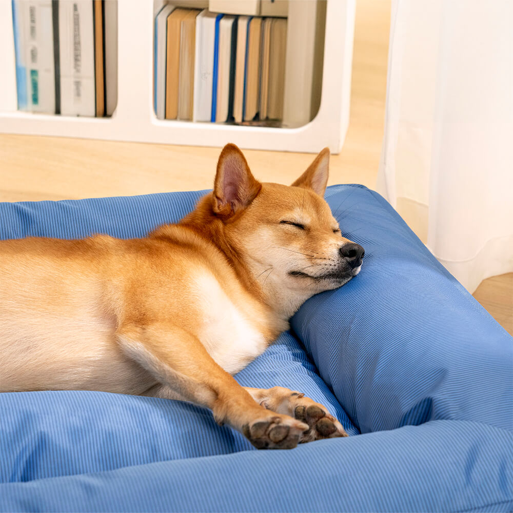Raised-Edge Bolster Dog Bed with Joint-Relief Foam & Liquid-Proof Cover for Large Breeds | Thomler