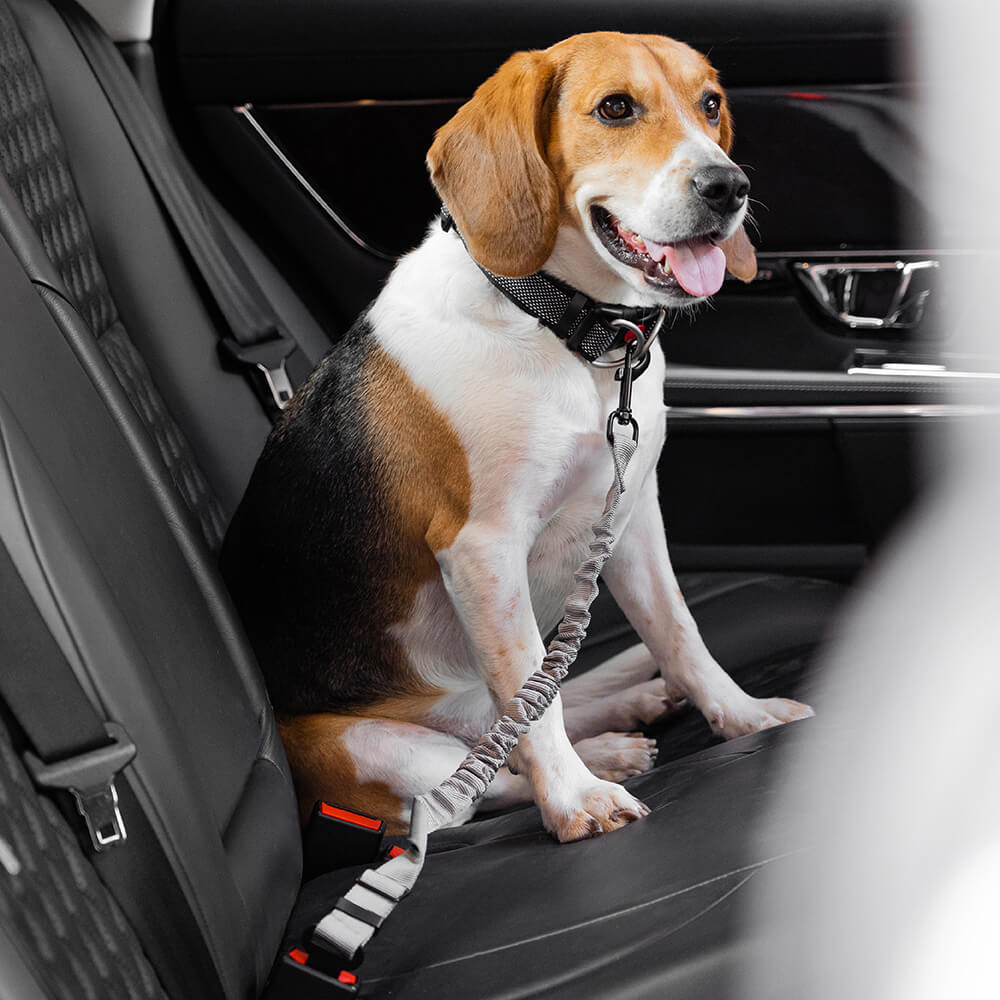 Adjustable Pet Safety Harness Tether for Car Travel with Reflective Strap & Elastic Shock Absorber for Dogs | Thomler