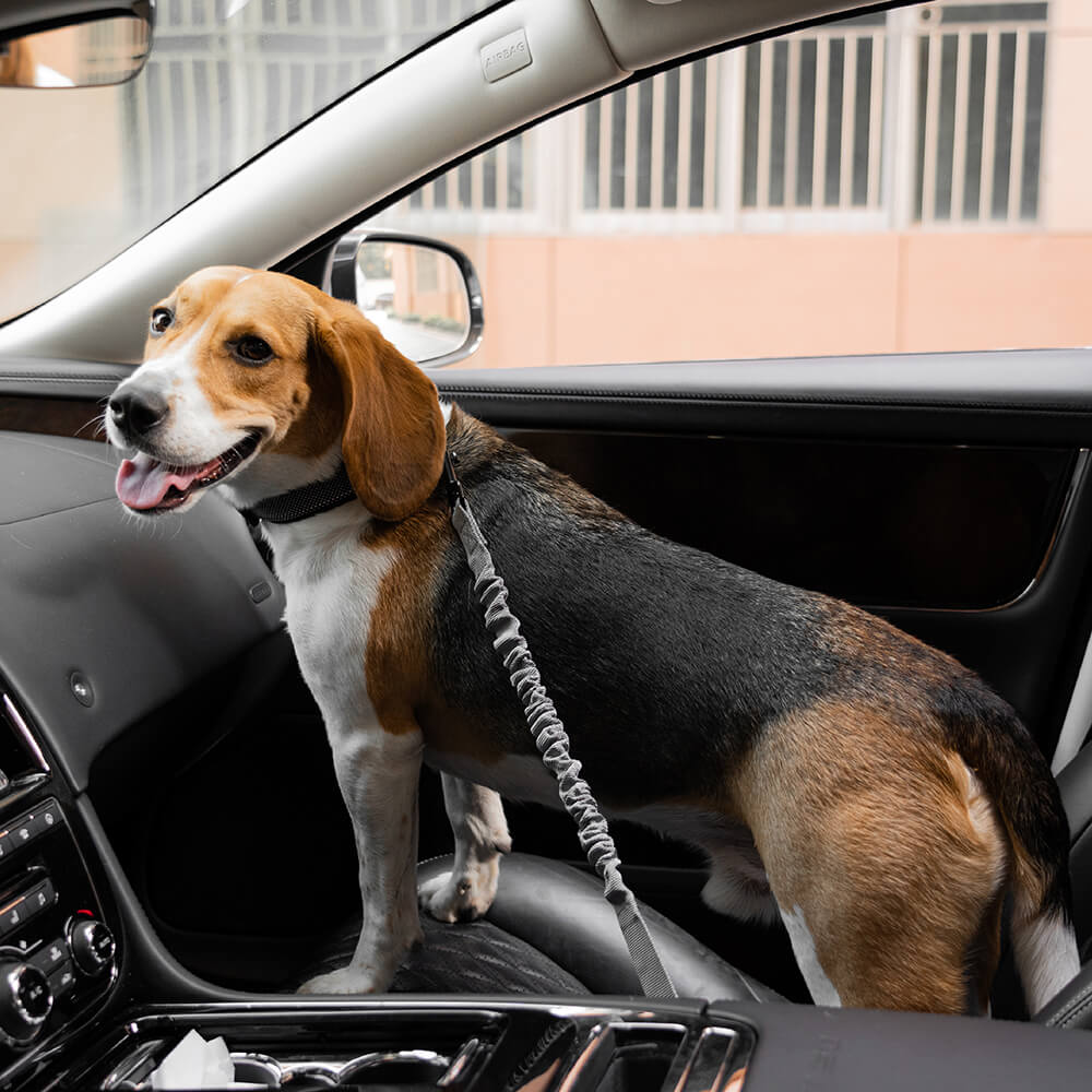 Adjustable Pet Safety Harness Tether for Car Travel with Reflective Strap & Elastic Shock Absorber for Dogs | Thomler