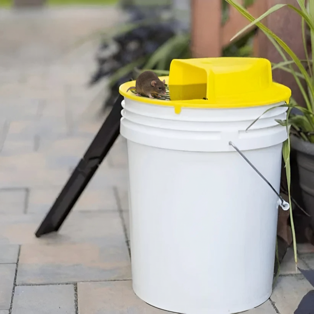 Automatic Multi-Catch Rodent Trap with Self-Resetting Tipping Platform for Bucket Setup | Thomler