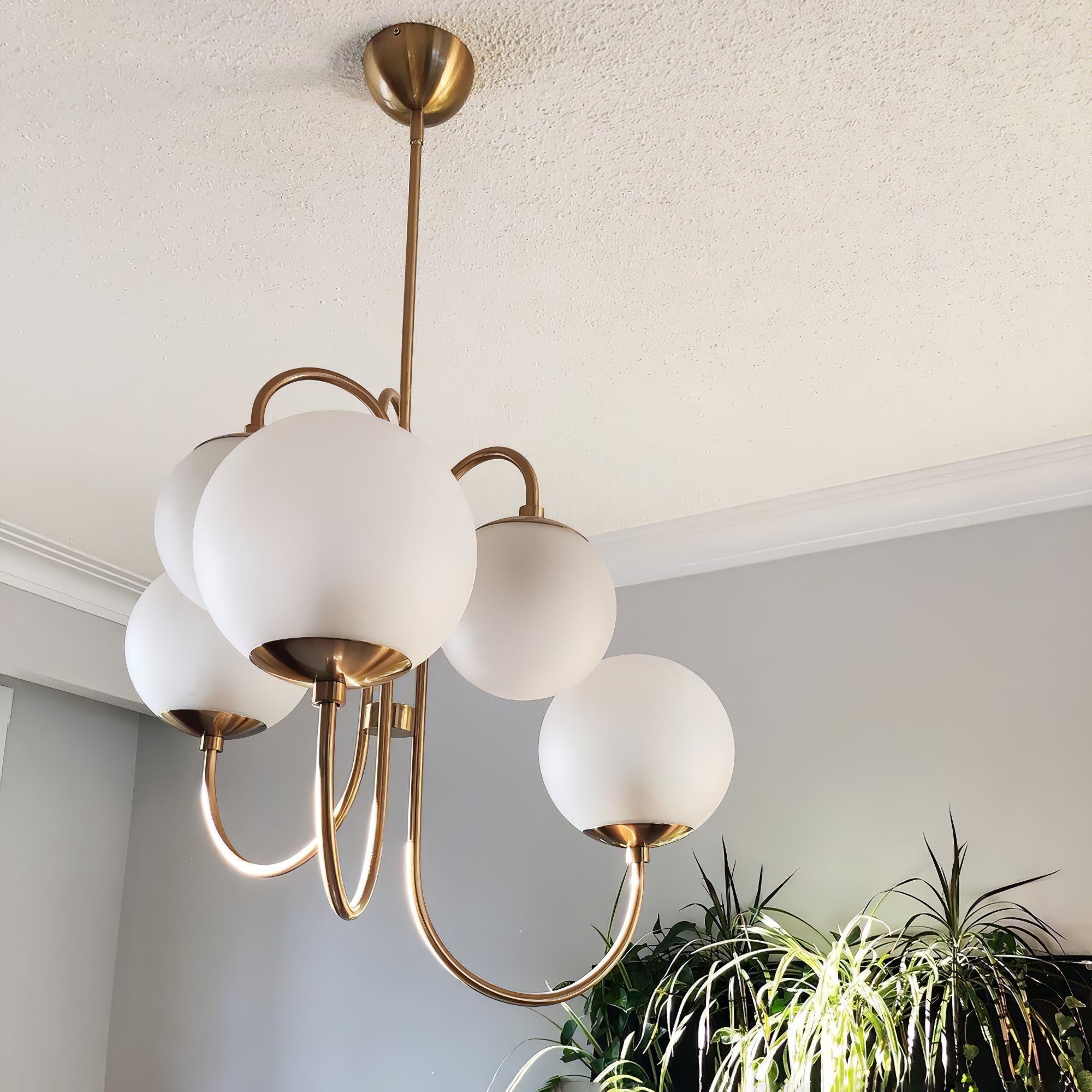 Chandelier Metal Glass 30 in x 27.6 in Indoor Ceiling Lighting | Thomler