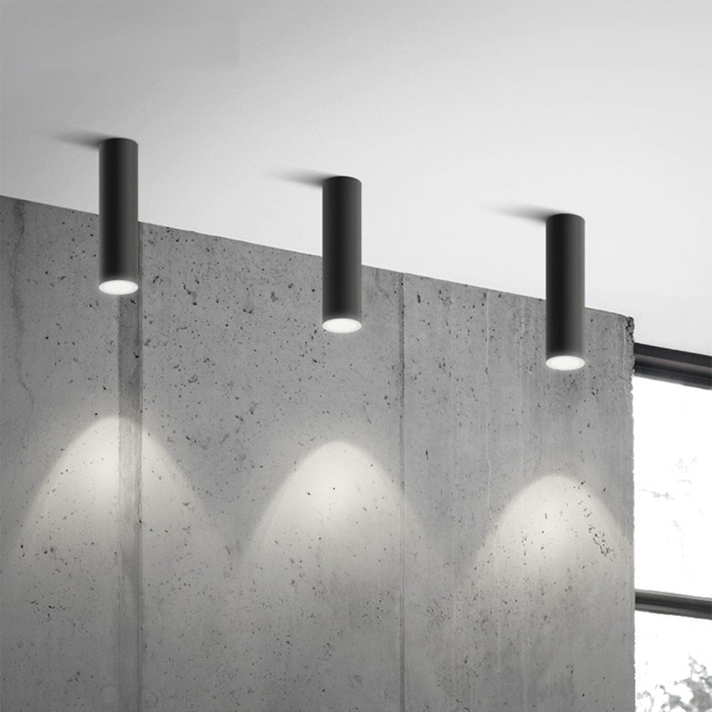Cylinder Ceiling Spotlight – Aluminum Hardwired Downlight for Modern Homes, Offices & Galleries | Thomler