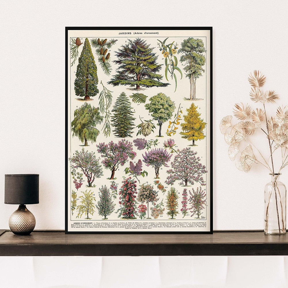 Framed Nature Illustration Canvas Prints – Classic Plant & Flower Wall Art for Living Room, Bedroom, Home Office Décor | Thomler