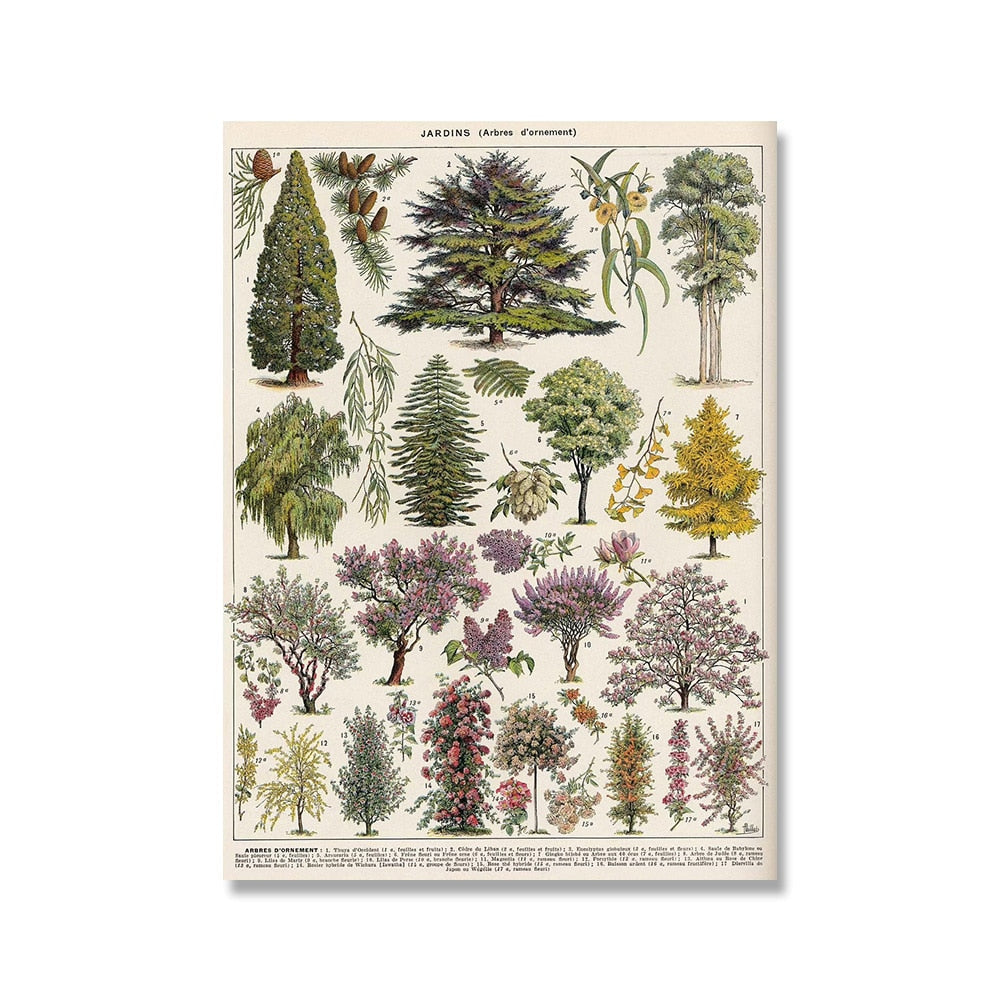 Framed Nature Illustration Canvas Prints – Classic Plant & Flower Wall Art for Living Room, Bedroom, Home Office Décor | Thomler