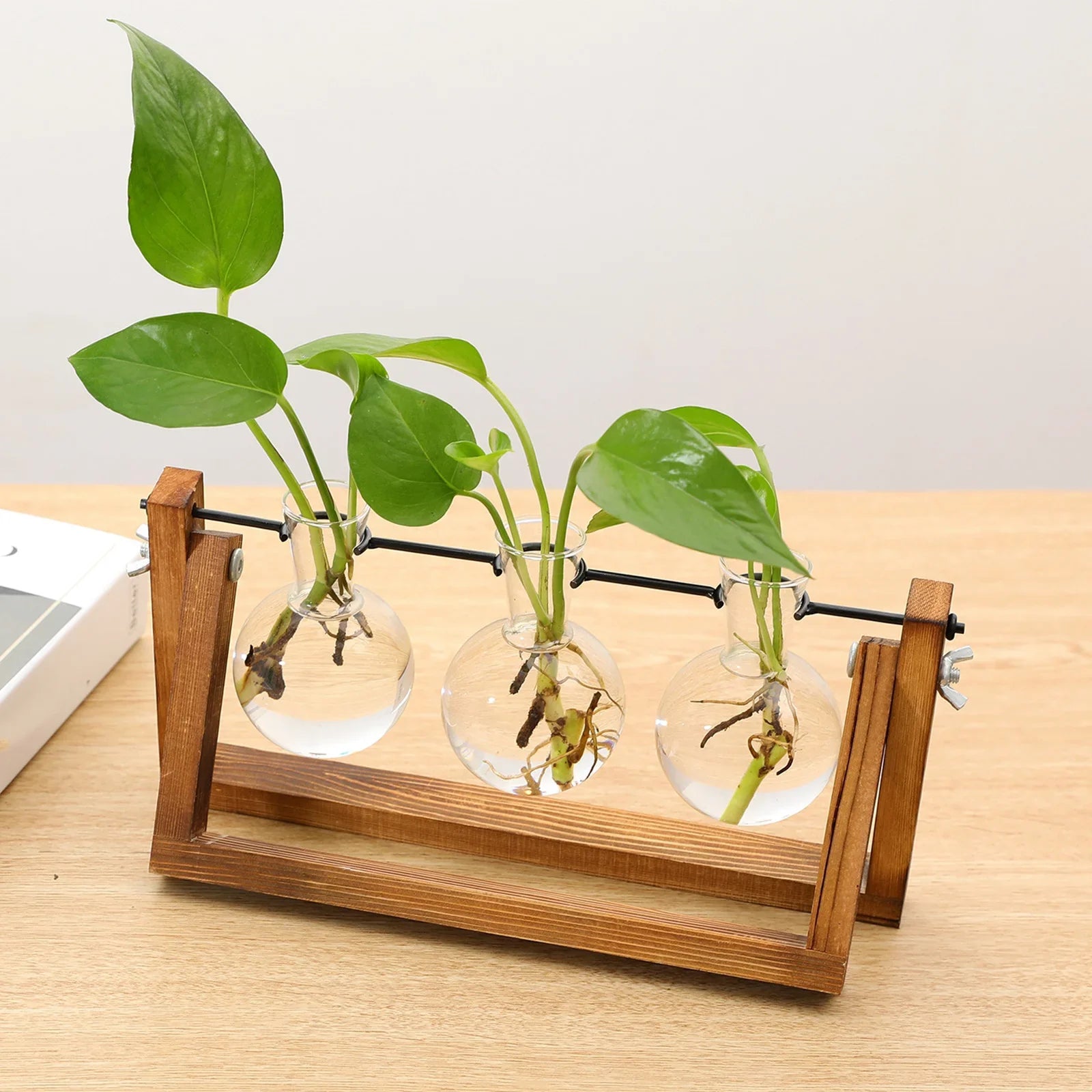 Plant Propagating Stand Natural Wood 11 in Indoor Gardening Glass Display Vintage Style | Thomler
