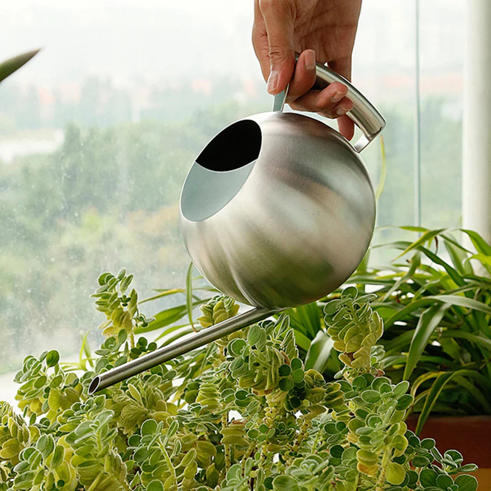 Watering Can Stainless Steel 11 in Indoor Plant Care Precise Pouring Home Garden Tool Durable Minimalist Design | Thomler