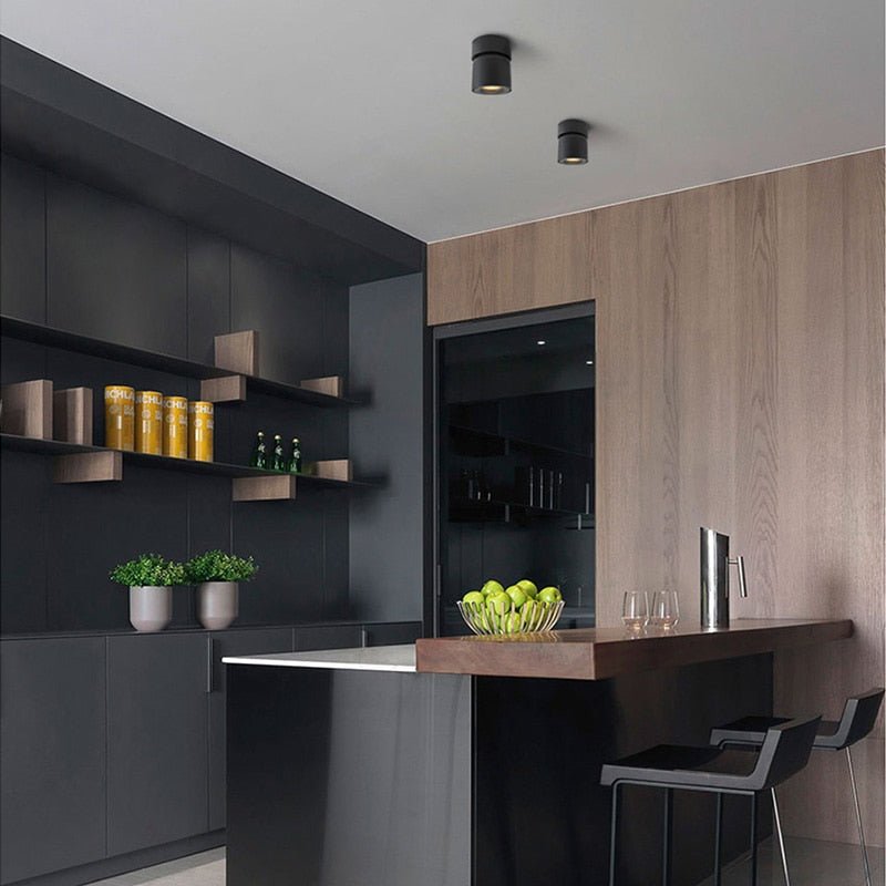Rotating Cylinder Ceiling Spotlight – Directional Task & Accent Lighting for Kitchen, Living Room & Hallway | Thomler