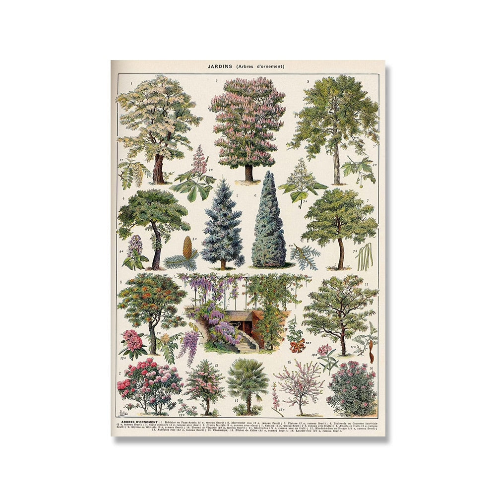 Framed Nature Illustration Canvas Prints – Classic Plant & Flower Wall Art for Living Room, Bedroom, Home Office Décor | Thomler