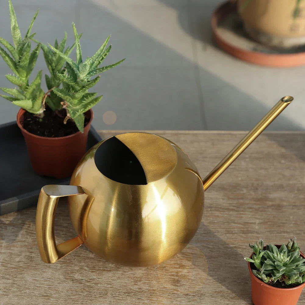 Watering Can Stainless Steel 11 in Indoor Plant Care Precise Pouring Home Garden Tool Durable Minimalist Design | Thomler