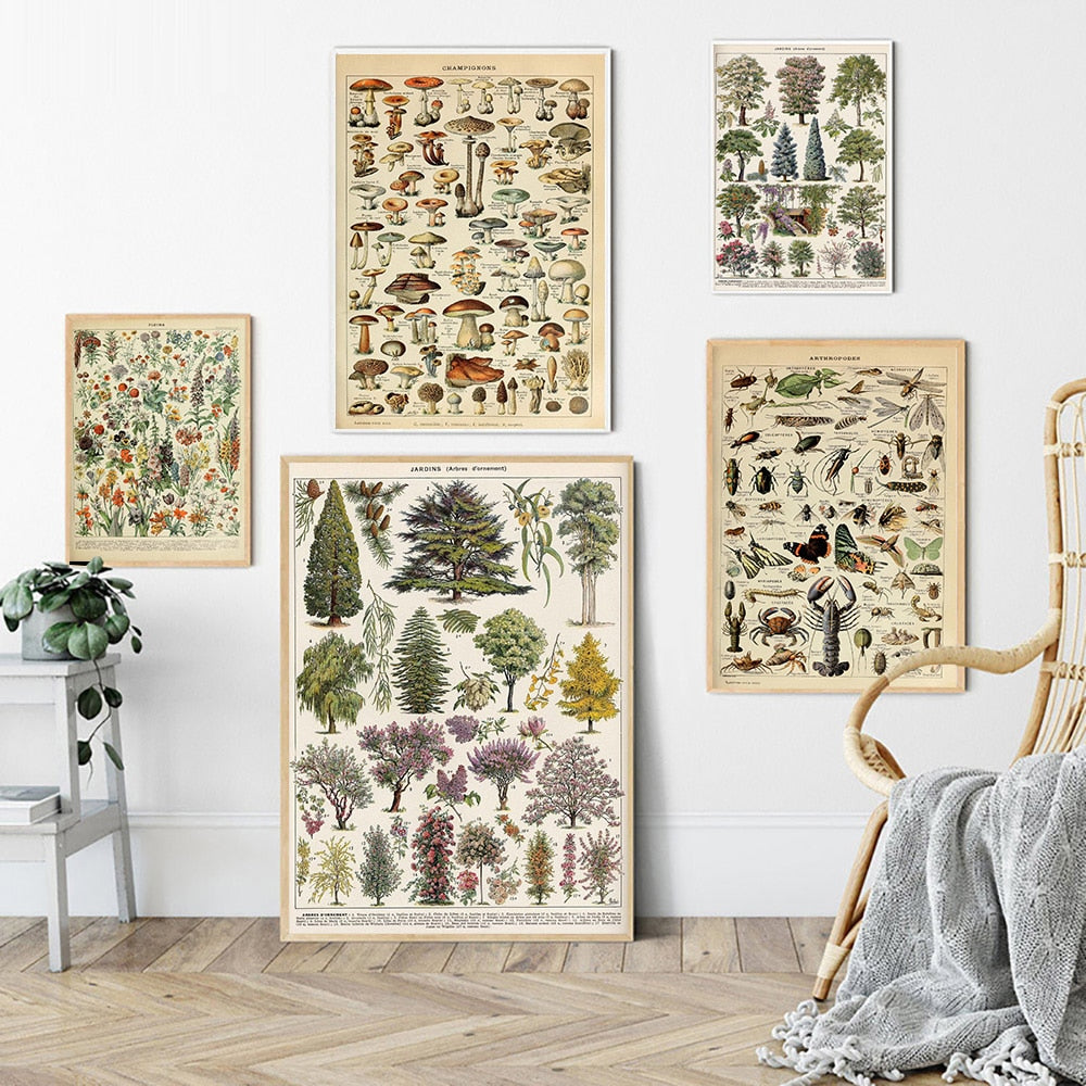 Framed Nature Illustration Canvas Prints – Classic Plant & Flower Wall Art for Living Room, Bedroom, Home Office Décor | Thomler