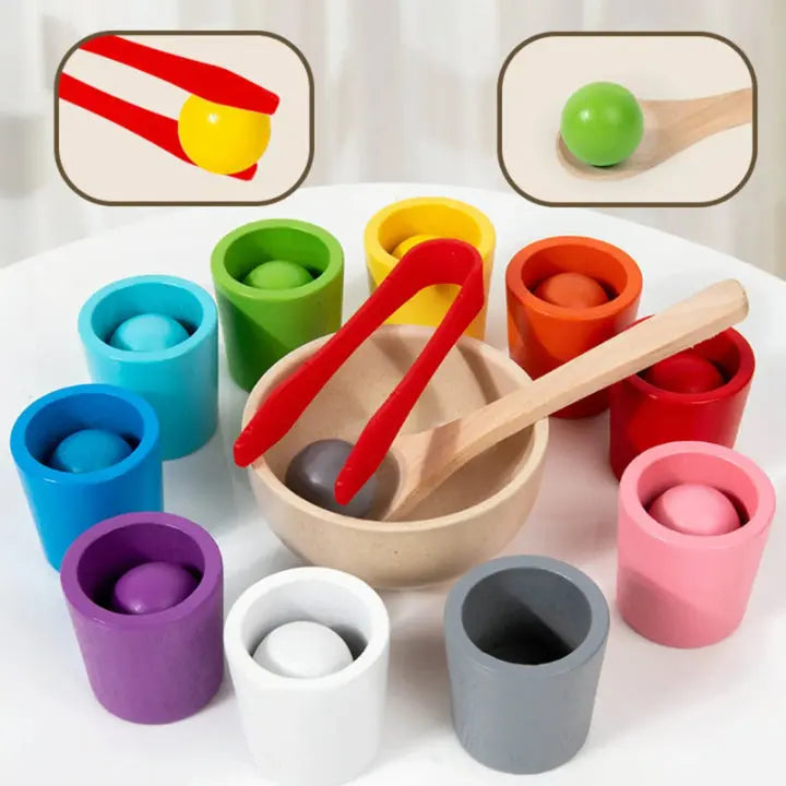 Wooden Color Matching Toy Set with Balls and Cups for Toddlers – Educational Sorting Activity for Kids 3+ | Thomler