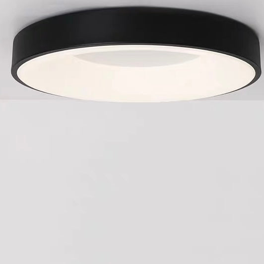 Ceiling Light Iron Acrylic LED Flush Mount Low Ceiling Bedroom Hallway Living Room Modern Round Lighting Fixture | Thomler