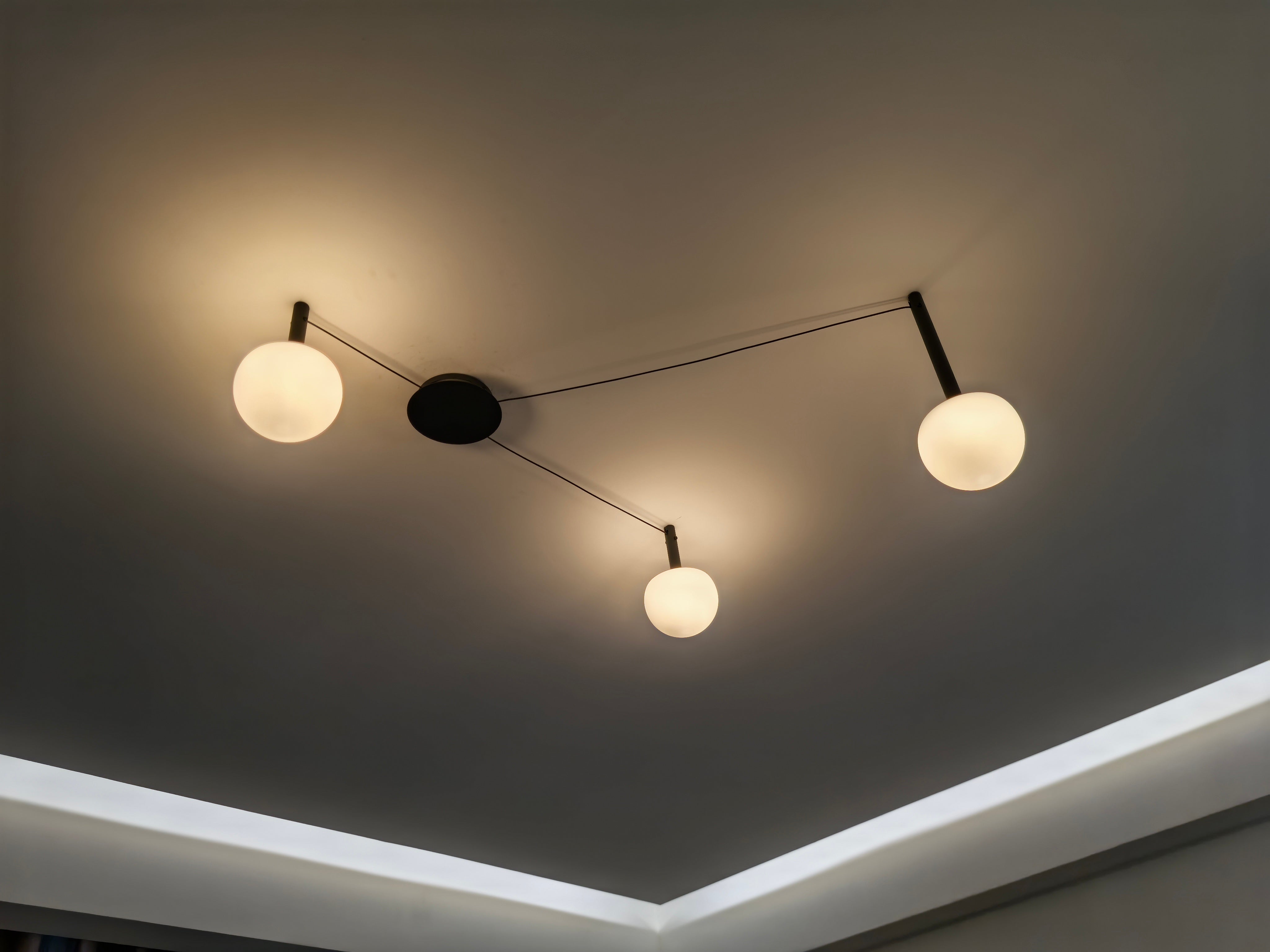 Ceiling Light Frosted Glass 10 in Adjustable Bedroom Living Room Pendant Lamp Modern Decorative Globe Fixture | Thomler