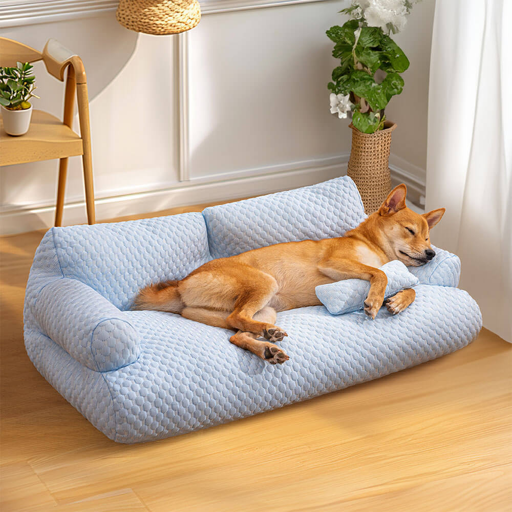 Sofa-Style Dog Bed with Temperature-Regulating Fabric for Summer Comfort | Thomler