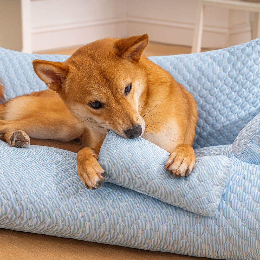 Sofa-Style Dog Bed with Temperature-Regulating Fabric for Summer Comfort | Thomler